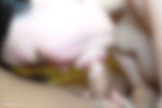 FC2-PPV-4702466 [La fin de l'émission] Une épouse et un joueur âgés d'un an, de gros seins, des membres de la famille physiquement responsables de leurs erreurs et joués pour attaquer, une personne courageuse qui a fait tout le chemin et a fait un effort [Partie 2]